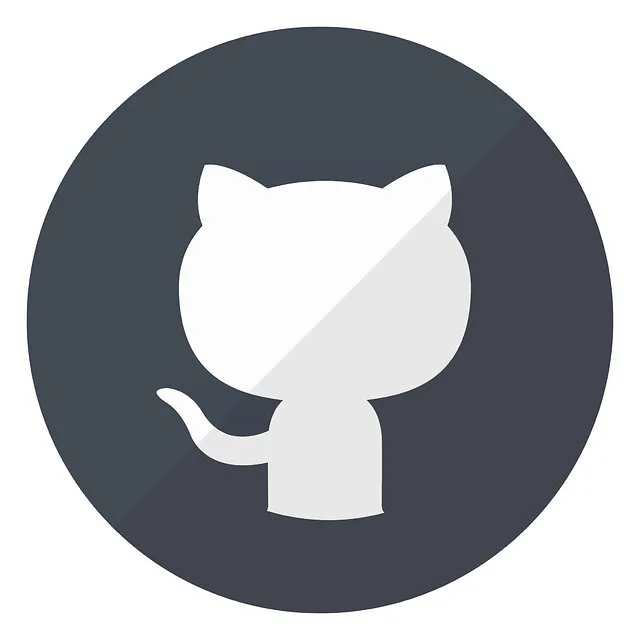 GitHub